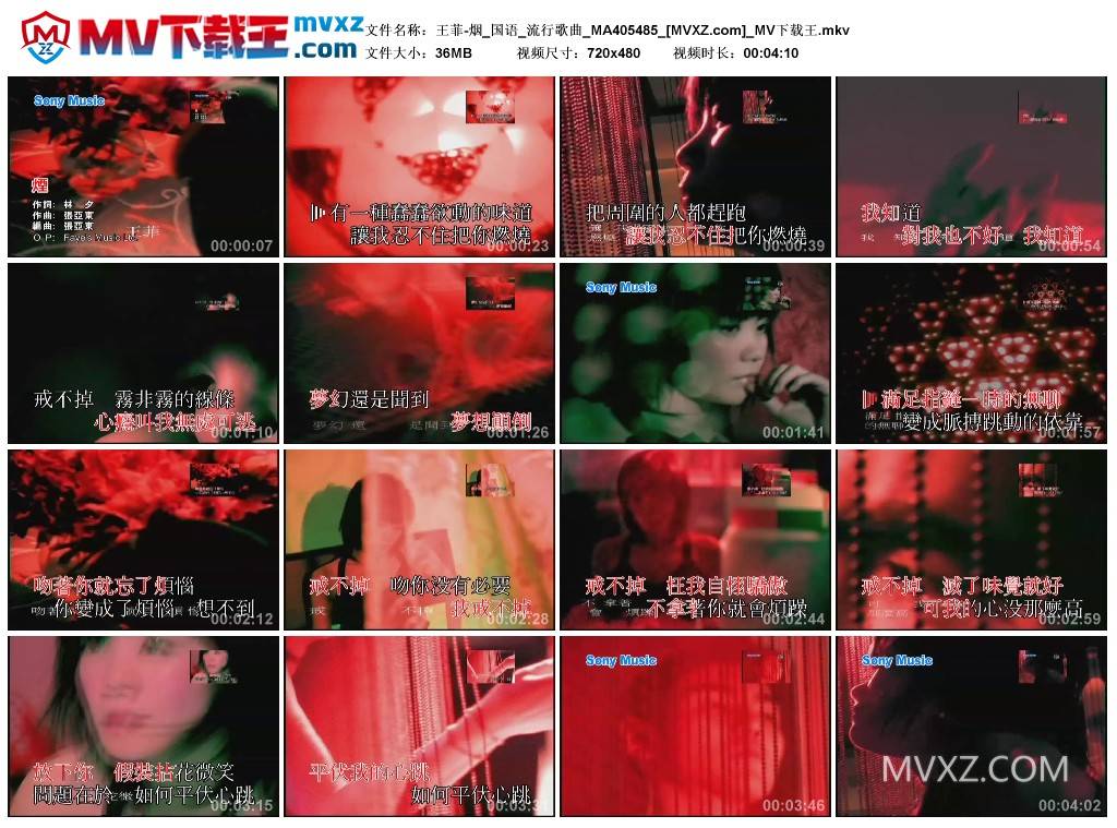 王菲-烟_国语_流行歌曲_MA405485